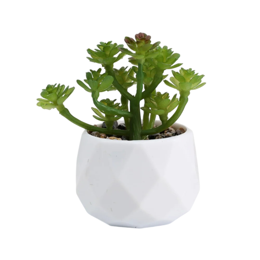 Fiori succulenti artificiali in vaso Piante grasse decorative in plastica Fiori artificiali per interni Decorazione verde per ufficio