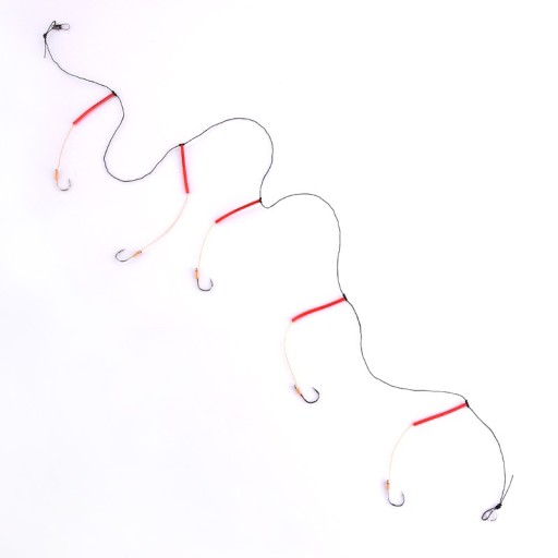 Fishing Bait with 5 Hooks