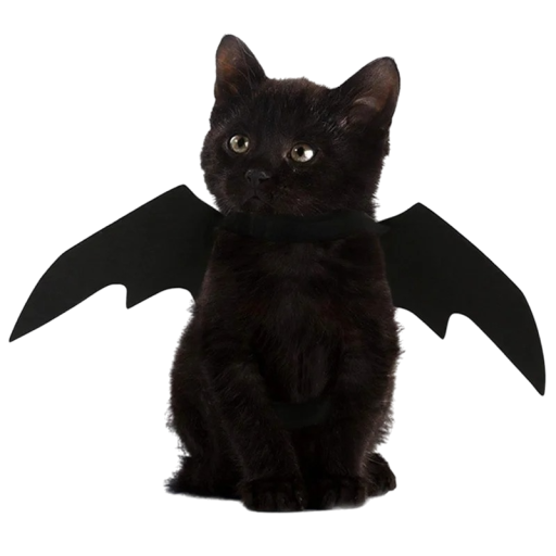 Flagermusvinger til kat Halloween-kostume til katte Sødt kostume til katte