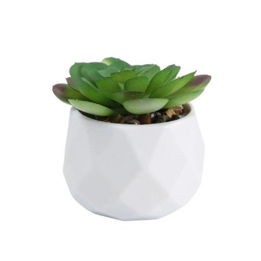 Fleurs succulentes artificielles mini décoration Plantes en plastique factices dans un pot Fleurs d'intérieur réalistes pour appartement bureau