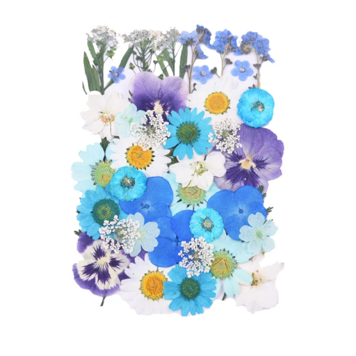 Flores azuis, brancas e roxas prensadas em resina com formato retangular Material decorativo para joias Fabricação de pendentes e decorações