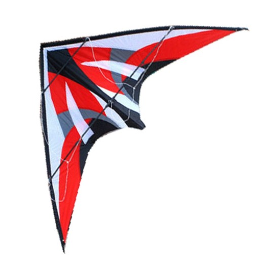 Flying Kite - Hang Glider