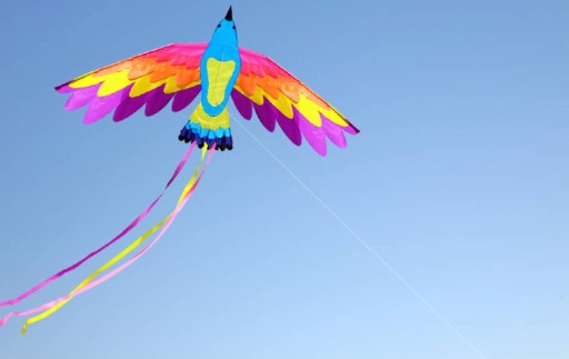 Flying Kite in the Shape of a Bird