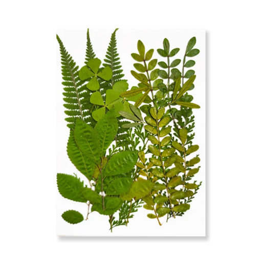 Folhas prensadas decorativas embebidas em resina Forma retangular Folhas secas naturais Decoração em resina feita à mão