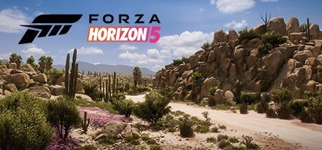 Forza Horizon 5 Steam-konto