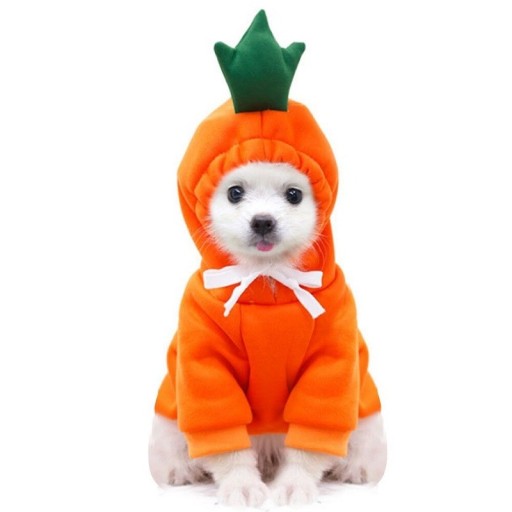 Frugt/grøntsags hundekostume