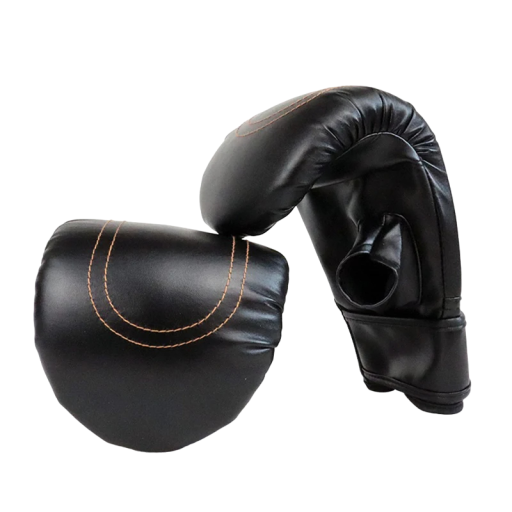 Gants de boxe professionnels Gants d'entraînement de boxe pour hommes et femmes 13 x 12 x 20 cm