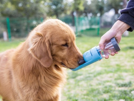 Garrafa de viagem para cães