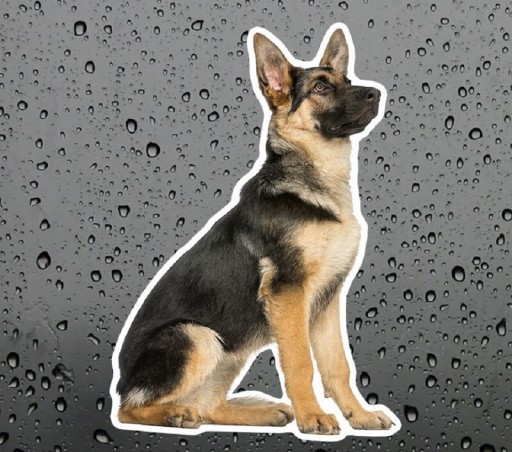 German Shepherd Car Sticker