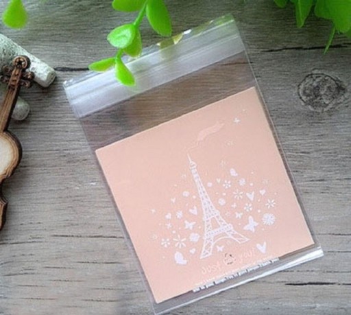 Geschenktüten 100 Stück C583