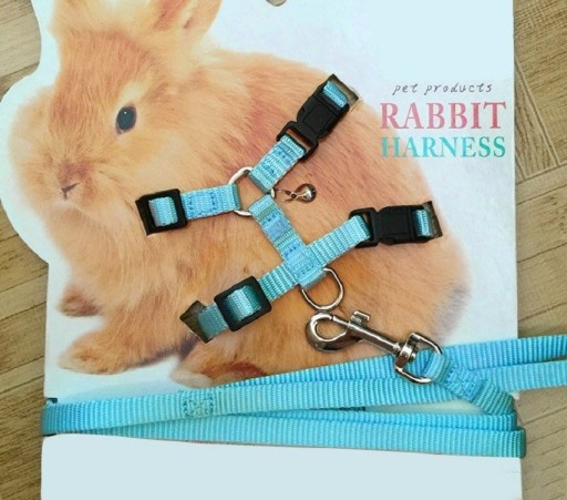 Geschirr für Kaninchen