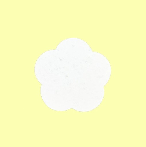 Gestructureerd schuim papier bloem 20 stuks ongeveer 60 mm dikte 1 mm gestructureerd oppervlak wit voor aquarel DIY creatie