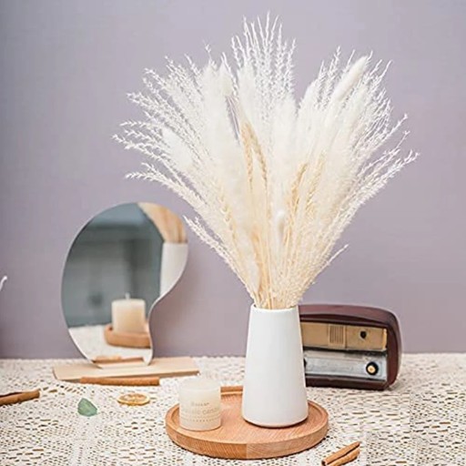 Grama de Pampas Decorativa 70 pcs