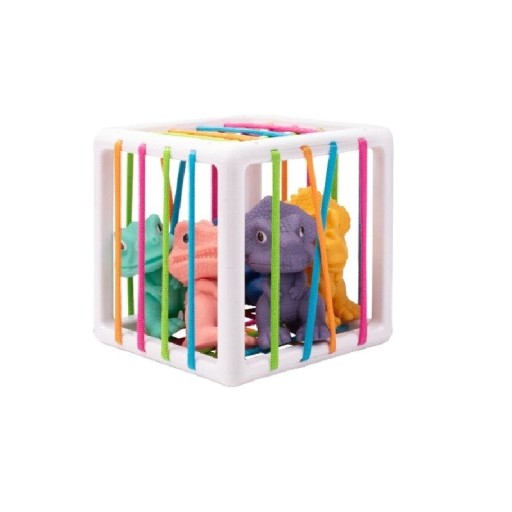 Grid Insertion Toy Z181