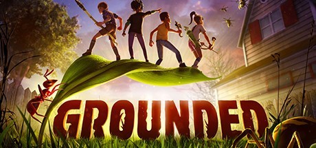 Grounded PC Steam-konto