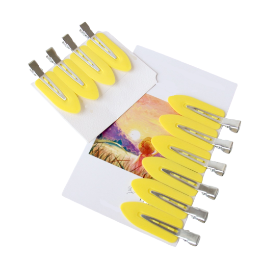 Haarspeldjes 10 stuks