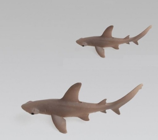 Hammerhead Shark Figure