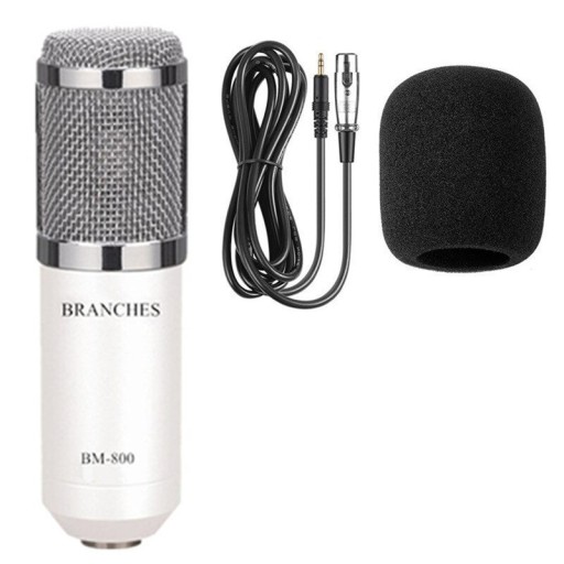 Handheld Microphone