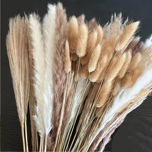 Herbe de pampa décorative 100 pcs A3204