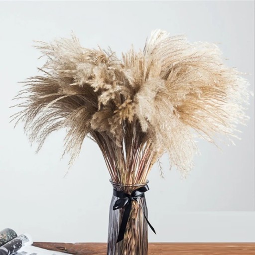 Herbe de pampas décorative artificielle 30 - 45 cm 50 pièces