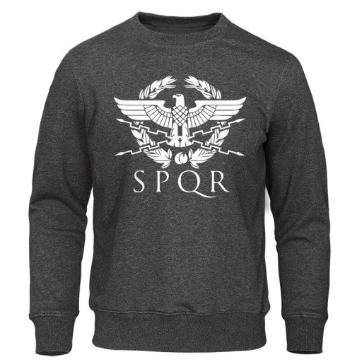 Heren sweatshirt met print F112