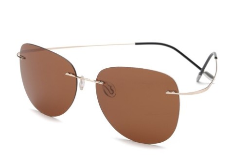 Heren zonnebril E2219