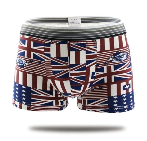 Herren-Boxershorts – Flaggen