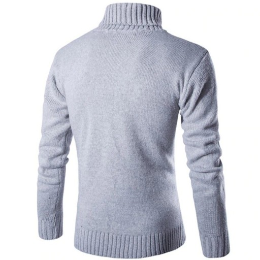 Herren-Rollkragenpullover F21