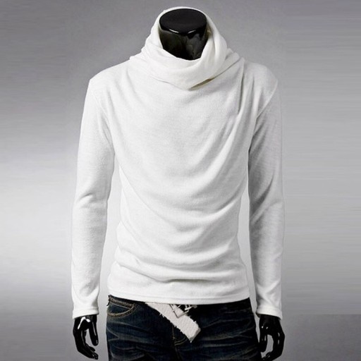 Herren-Rollkragenpullover F265