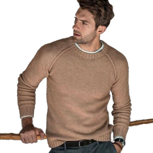 Herrenpullover F218