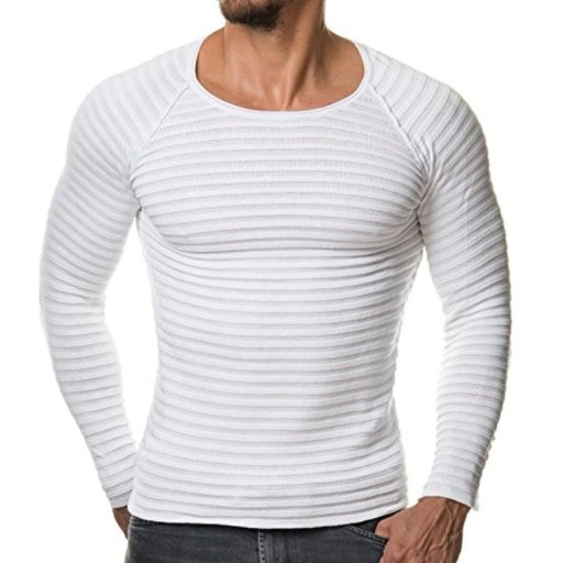 Herrenpullover F228