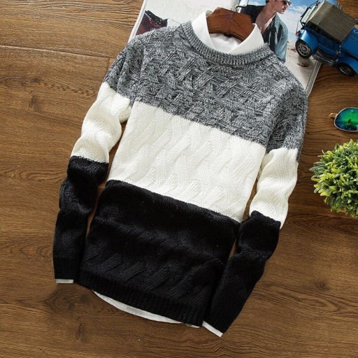 Herrenpullover F255