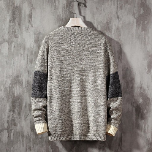 Herrenpullover F267