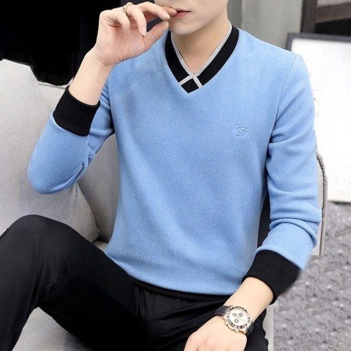 Herrenpullover F281