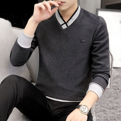 Herrenpullover F281