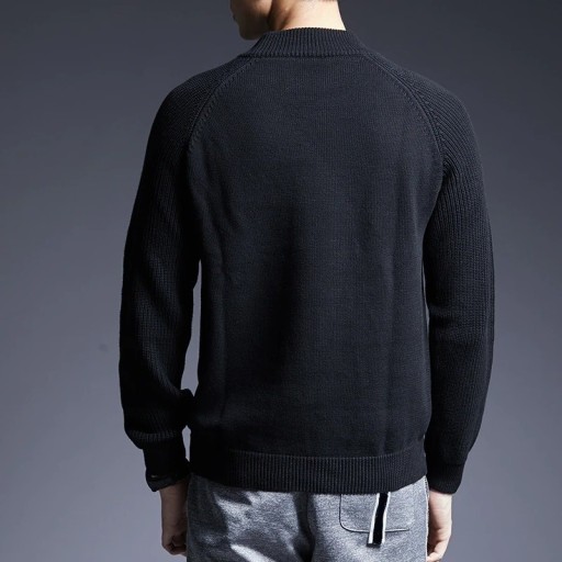 Herrenpullover F282