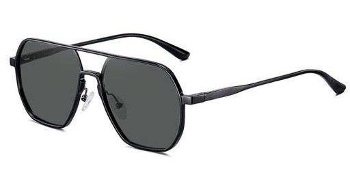 Herrensonnenbrille E2141