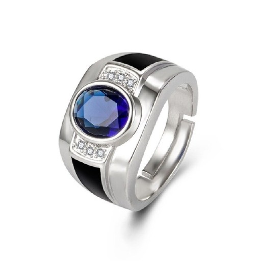 Herrering D1234