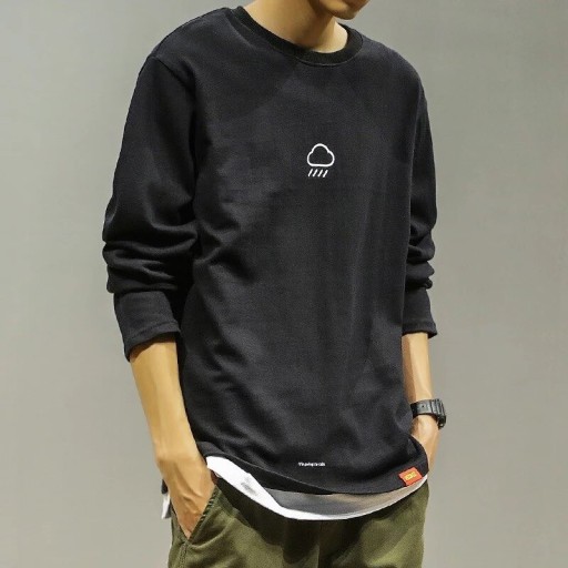 Herresweatshirt F110