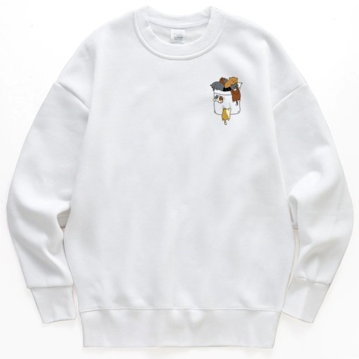 Herresweatshirt F21