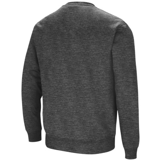Herresweatshirt med print F112