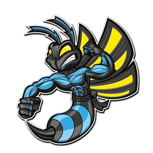 Hornet bil klistermärke