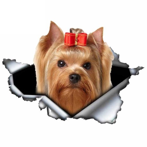 Hundbil klistermärke