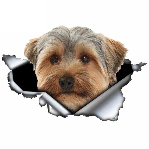 Hundbil klistermärke