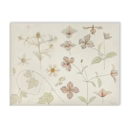 Illustrationsplakat til væg med blomstermotiv 40 x 60 cm lærredstryk beige-grønne naturlige nuancer uden ramme dekoration til børneværelset