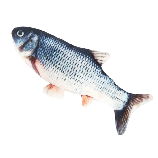 Interactive Carp Toy for Dogs and Cats