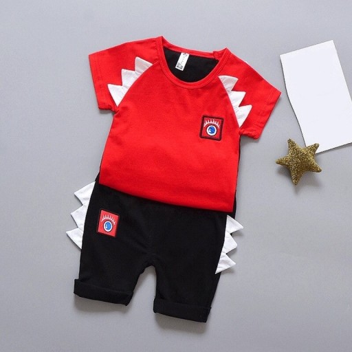 Jongens T-shirt en short L1103