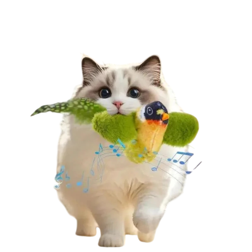 Jouet interactif pour chats 13 x 4,5 x 6 cm Forme d'oiseau avec corde Jouet sonore émettant des sons d'oiseaux réalistes