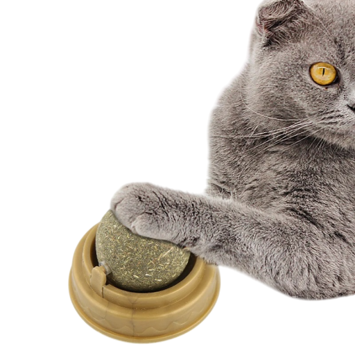 Jouet pour chat auto-adhésif en herbe à chat avec boule rotative Jouet à gratter pour chats à fixer au mur ou au sol Divertissement interactif