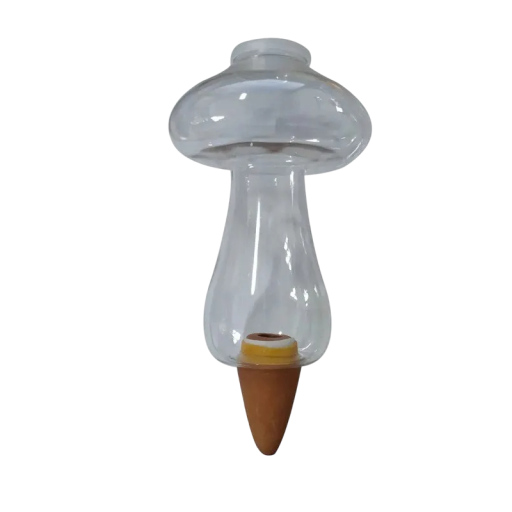 Juego de esponjas autorriego con punta de cerámica para flores, esponja transparente para riego de plantas de interior.
